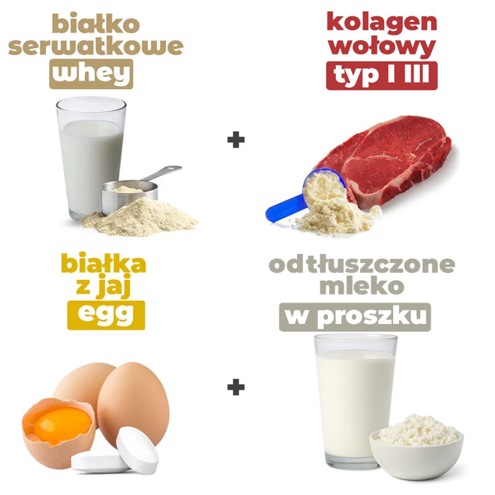 kwadrat-4-źrodła-białka