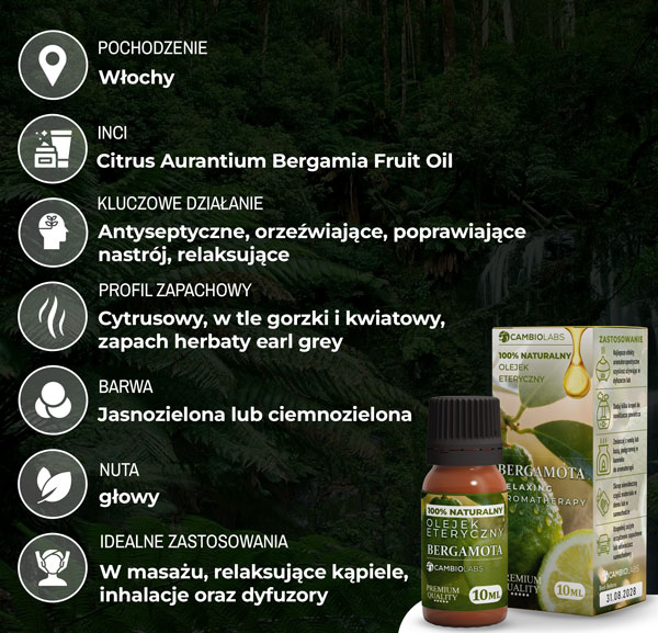 bergamotka-baner-opis