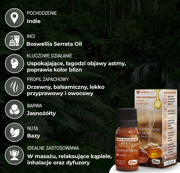 kadzidłowiec-opis-baner