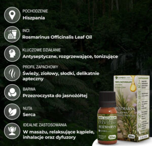 rozmaryn-opis-baner