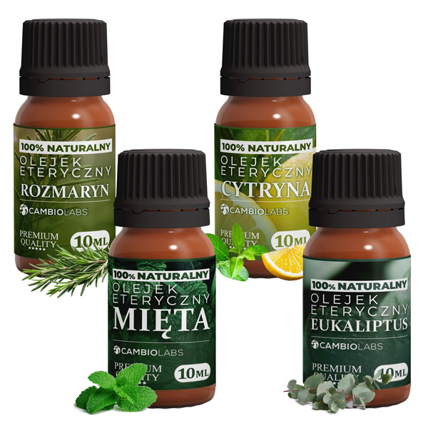 energia-koncentracja-zestaw-mini