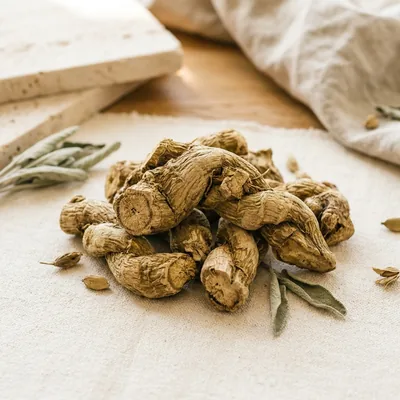 Korzeń dzikiego pochrzynu (Dioscorea villosa)