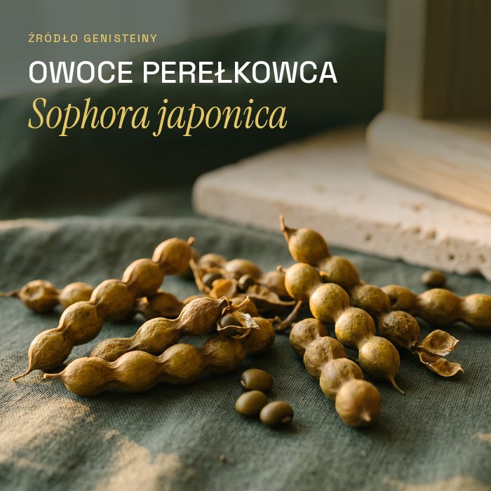 Źródło genisteiny: owoce perełkowca japońskiego Sophora japonica