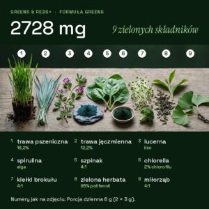 Formuła Greens w Greens & Reds+: 2728 mg, 9 zielonych składników od trawy pszenicznej po miłorząb