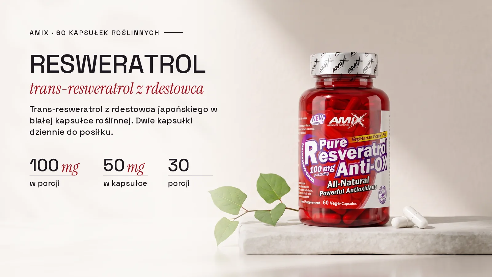 Czerwony słoik Amix Pure Resveratrol ze srebrną nakrętką na jasnym kamieniu obok gałązki rdestowca i dwóch białych kapsułek